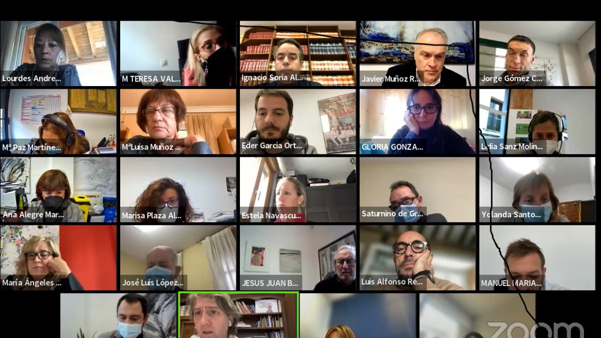 Captura de la sesión telemática del pleno de ayer. HDS