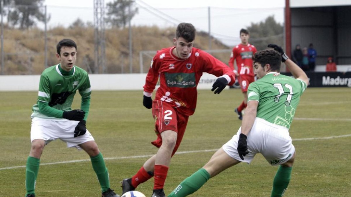 El Numancia juvenil buscará tres puntos casi definitivos para seguir en División de Honor.-Luis Ángel Tejedor