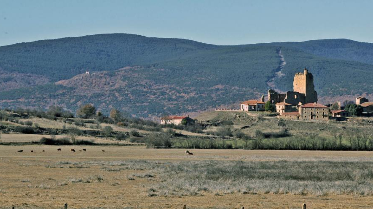 Imagen tomada ayer de la Laguna de la Serna, conocida como laguna de Hinojosa, ahora sin agua-MARIO TEJEDOR