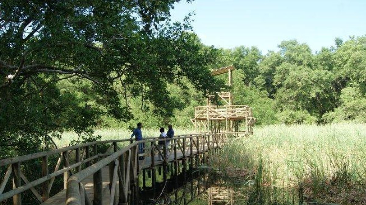 La isla de Salamanca recibió la denominación Vía Parque porque permite al visitante contemplar bosques de manglar, ciénagas y playas desde la carretera.-PARQUE ISLA DE SALAMANCA