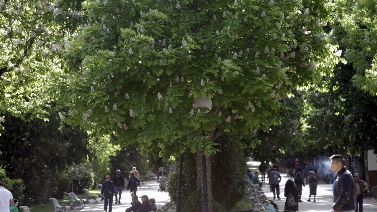 La Dehesa, en todo su esplendor primaveral en una imagen de archivo. HDS