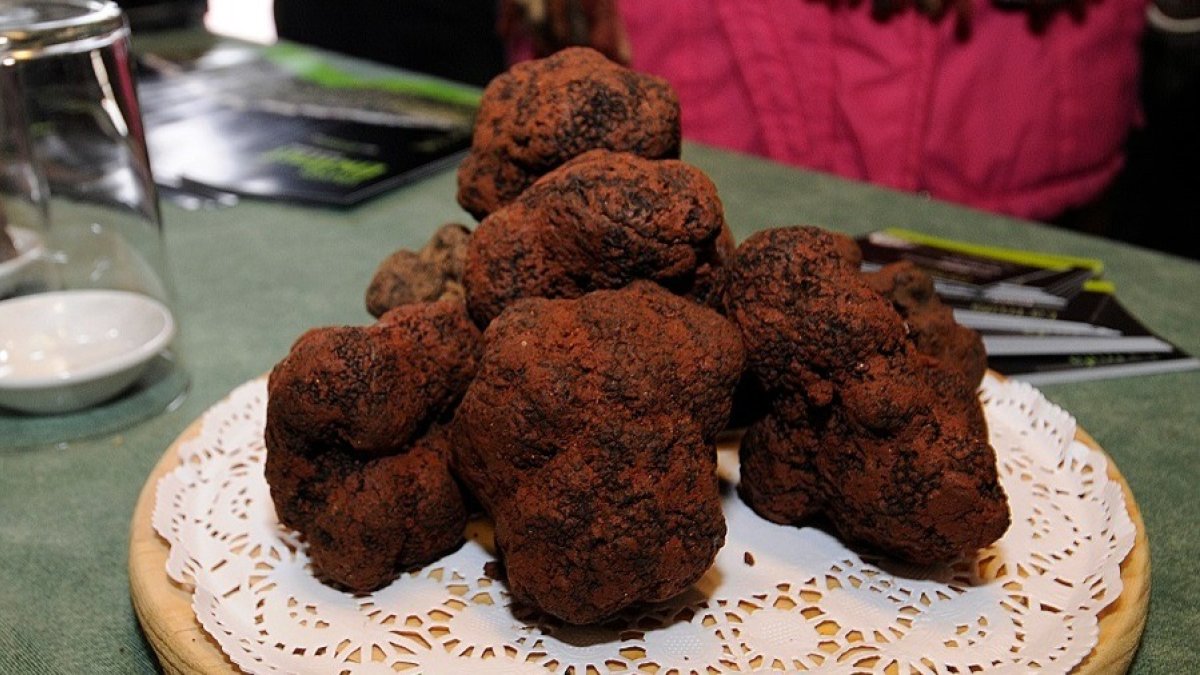 Trufas. VALENTÍN GUISANDE