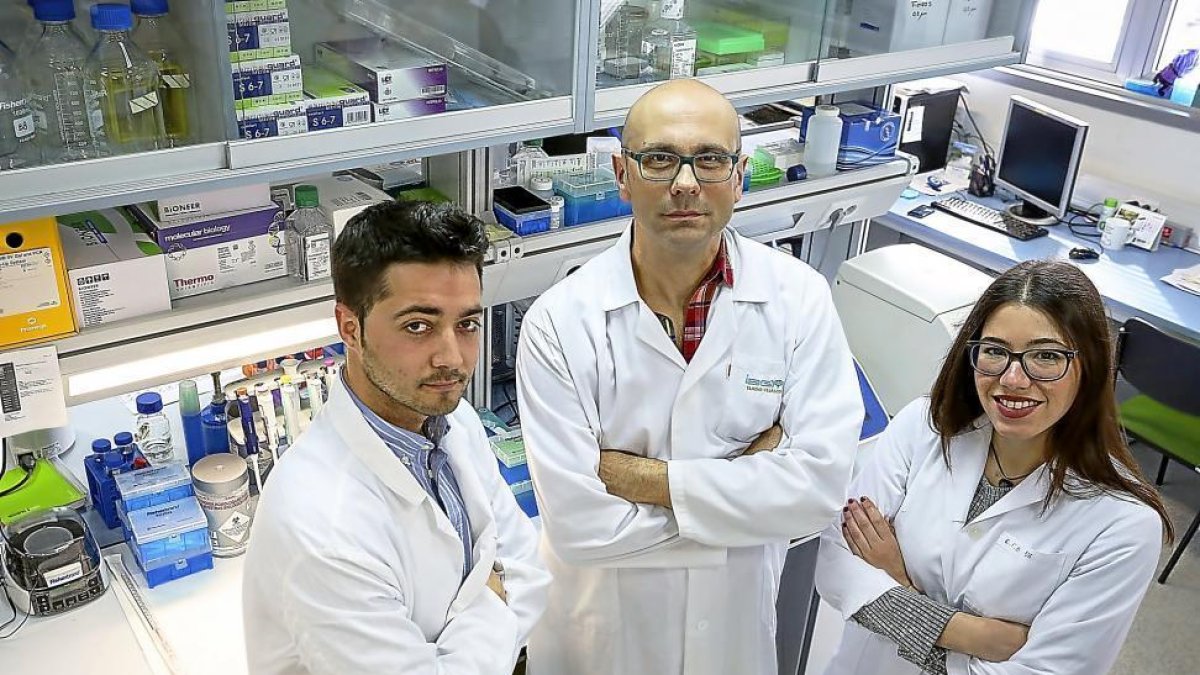 Alberto Valenzuela, Eladio Velasco y Eugenia Fraile en las instalaciones del Instituto de Biología y Genética Molecular de Valladolid-Miguel Ángel Santos