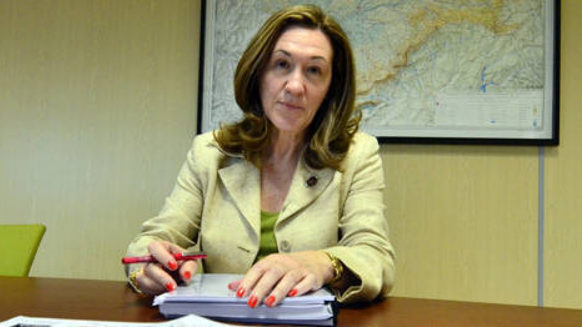 La subdelegada del Gobierno, María José Heredia. / ÁLVARO MARTÍNEZ-