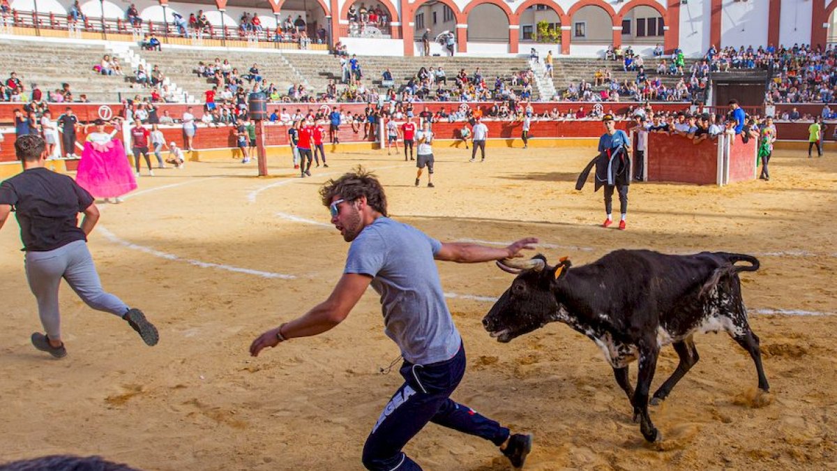 Vaquillas en lasfiestas de San Saturio. MARIO TEJEDOR