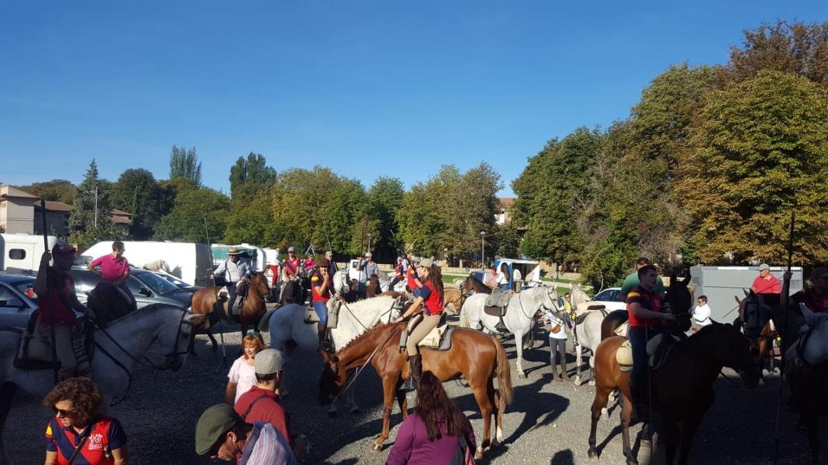 Imagen de la trashumancia en Ágreda-
