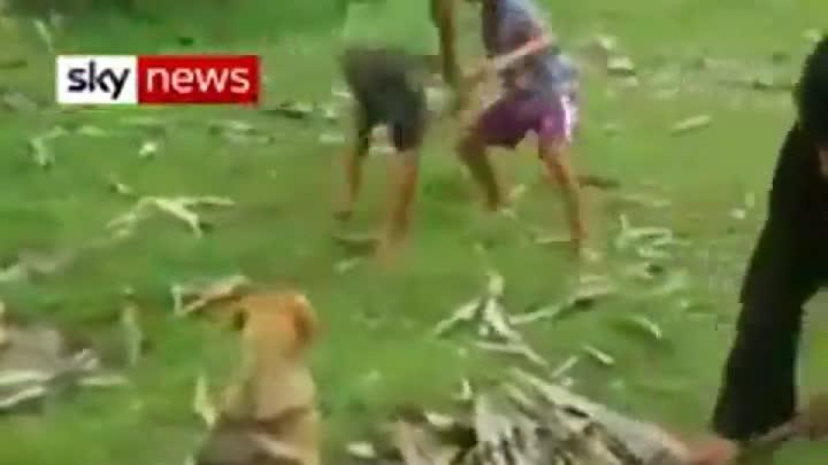 Unos niños liberan a un perro atrapado por una serpiente.-