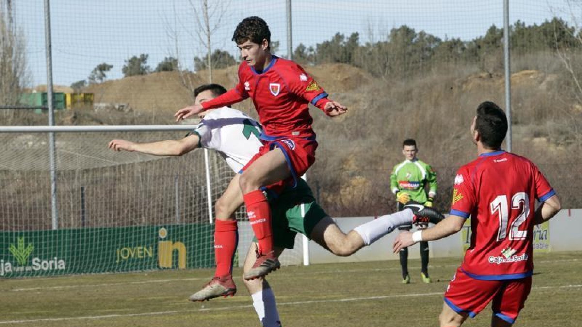 El Numancia juvenil lidera la competición en el Grupo II de División de Honor.-LUIS ÁNGEL TEJEDOR