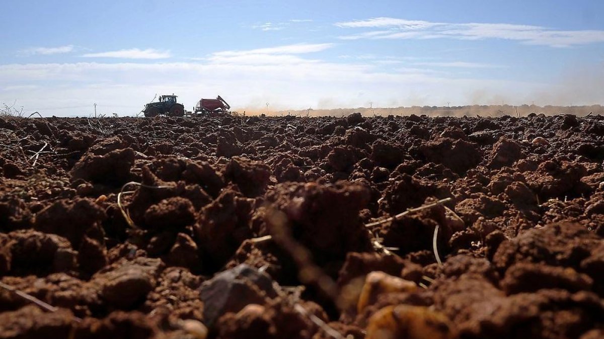 Un trabajador preparando las tierras en una parcela cercana a la capital salmantina.-- ENRIQUE CARRASCAL