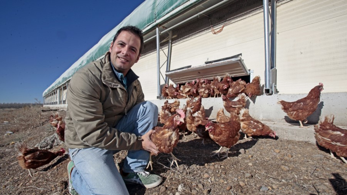 Jesús Ciria junto a las gallinas camperas de Huevos La Cañada de Soria. HDS
