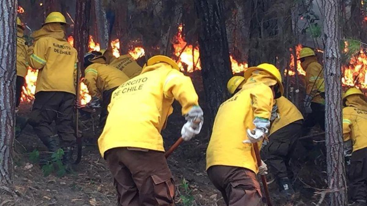 Chile vive una ola de incendios forestales que han arrasado con miles de hectáreas.-AFP