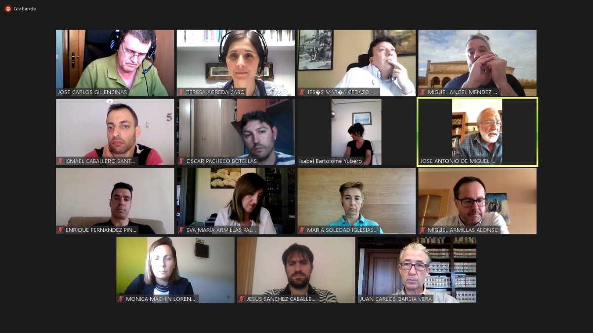 Un momento del pleno telemático.-HDS