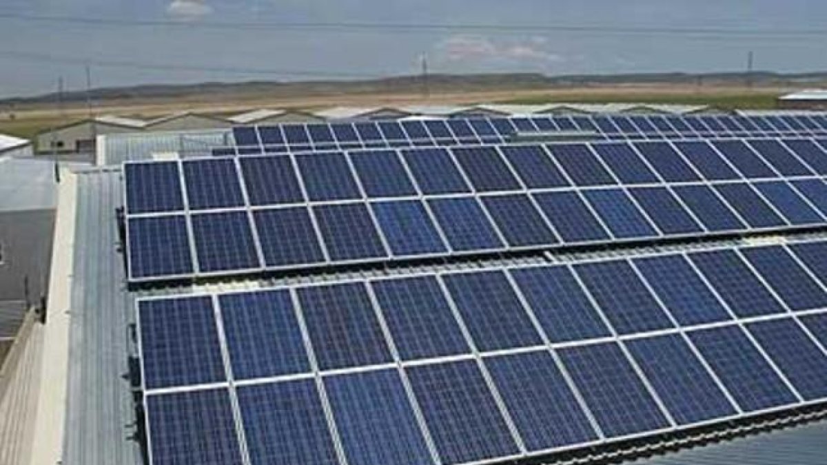 Planta fotovoltaica en un polígono industrial. 