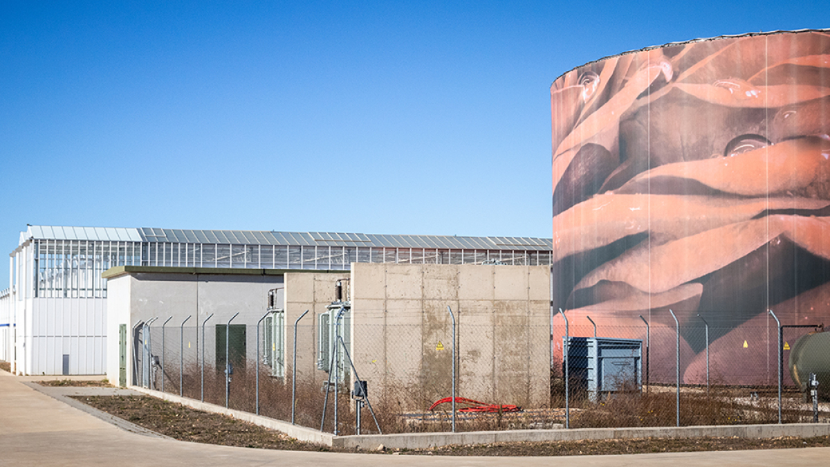 Las instalaciones de Ondara - GONZALO MONTESEGURO