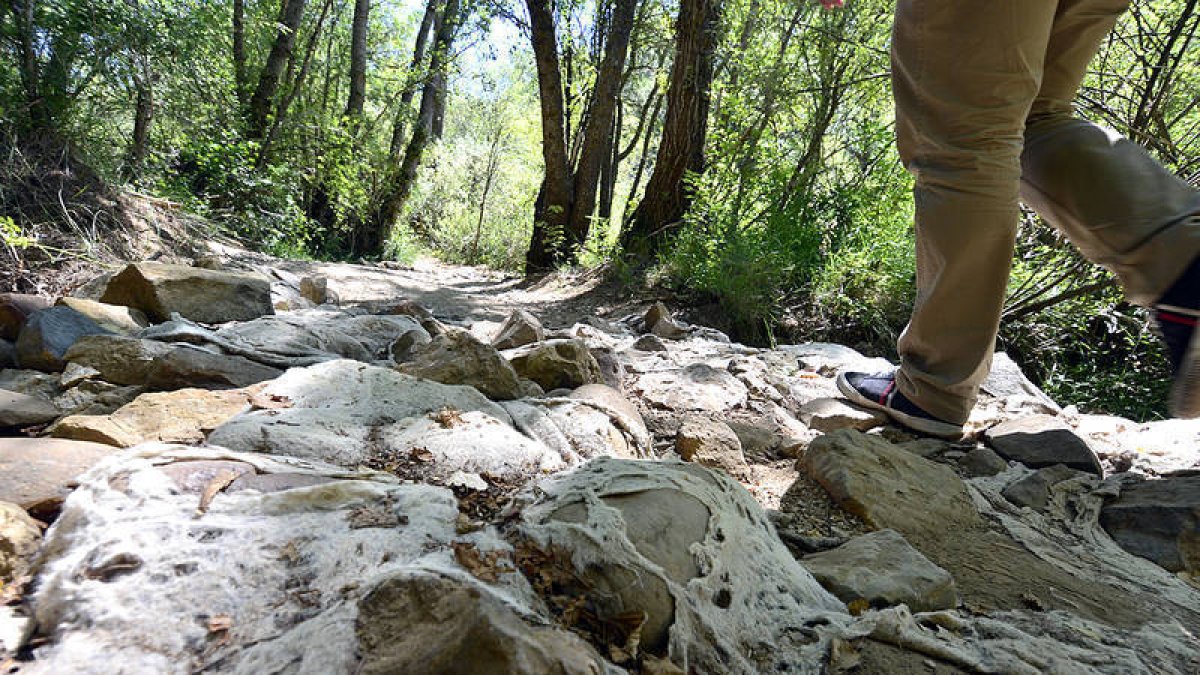 Senda de las márgenes deteriorada tras las riadas de marzo y abril. / ÁLVARO MARTÍNEZ-