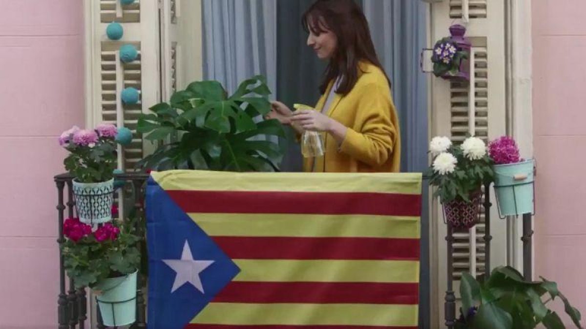 -EL PERIÓDICO (NETFLIX)