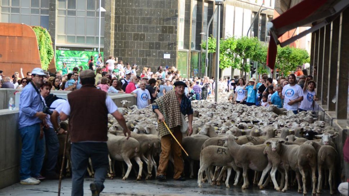 Las ovejas cruzaron a buen paso la capital para subir hacia Tierras Altas.-ÁLVARO MARTÍNEZ