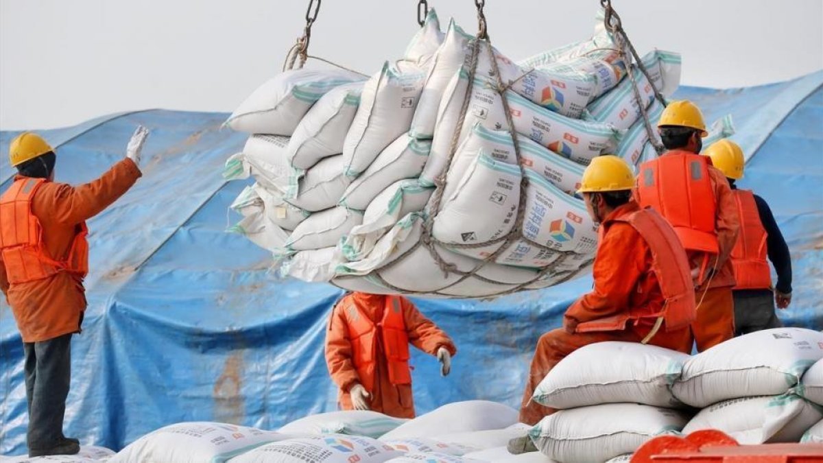 Unos operarios descargan sacos de soja en el puerto de chino de Nantong.-/ EFE / XU CONGJUN