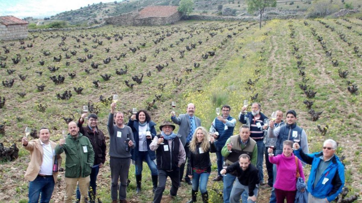 Bodegueros, viticultores y otros integrantes de la Asociación de Vinos de Cebreros brindan en una viña de la comarca por el logro de la denominación de origen.-Antonio García