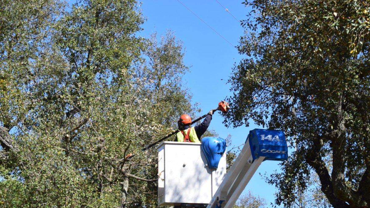 Prevención de incendios. HDS
