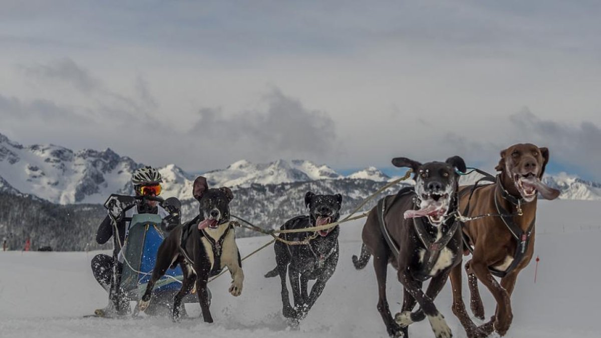 Jorge García durante su participación en el Campeonato de España de Trineos con Perros sobre nieve.-GOS ÁRTIC / JORDI SANTACANA