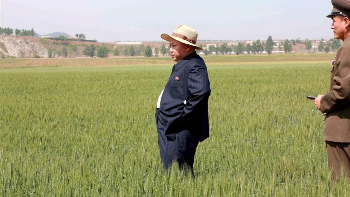 Kim Jong-un visita una granja custodiada por el Ejército norcoreano, en una imagen difundida por la agencia oficial norcoreana KCNA.-REUTERS / KCNA