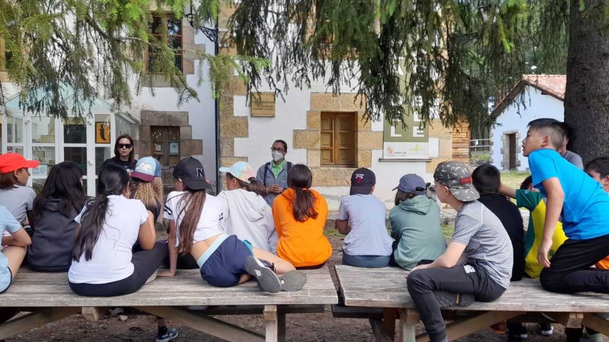 Actividad ambiental en el aula del bosque del Amogable. HDS
