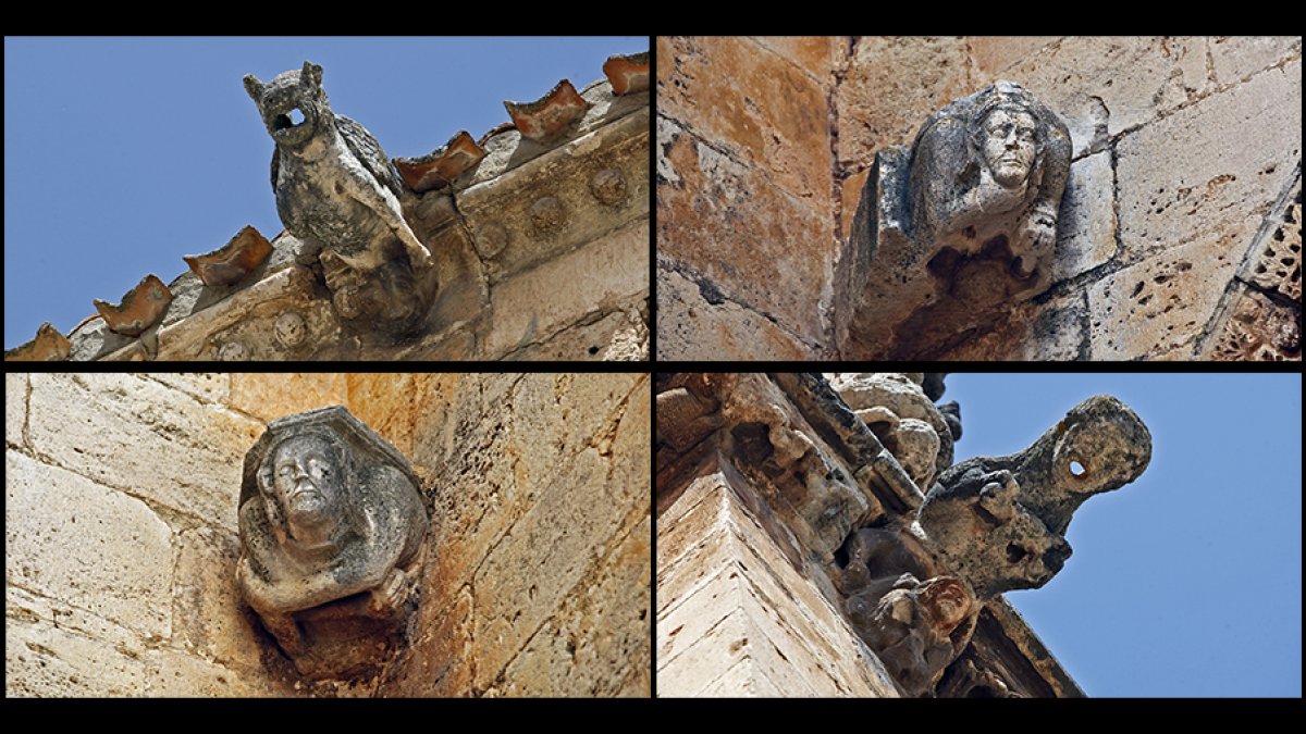 Gárgolas de la catedral de El Burgo - MARIO TEJEDOR