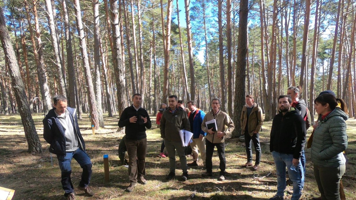 Grupo de investigadores del EMI en Pinar Grande en una visita anterior