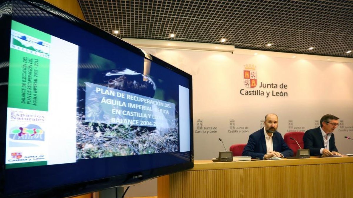 El director general de Medio Natural, José Ángel Arranz, presenta el censo de águila imperial en la Comunidad en 2016-ICAL