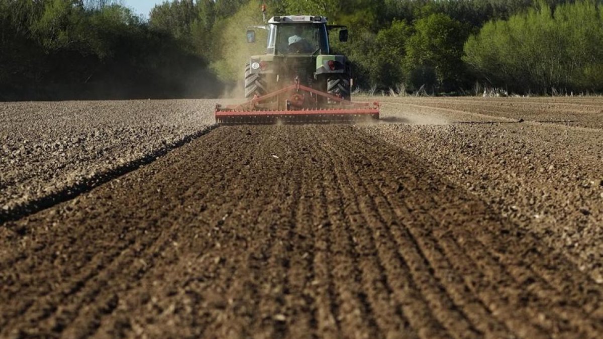 Un trabajador realiza labores agrícolas en una parcela de Salamanca.-ENRIQUE CARRASCAL