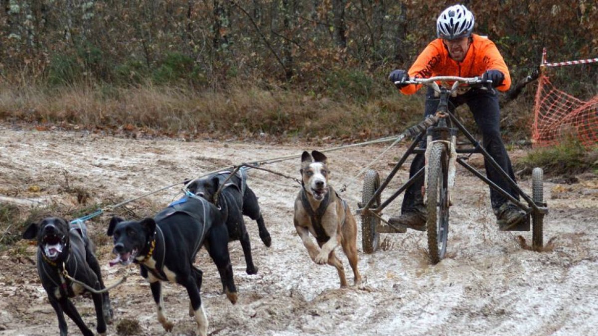 El musher soriano Jorge García.-
