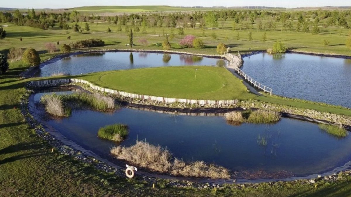 El campo burgalés de Riocerezo. HDS