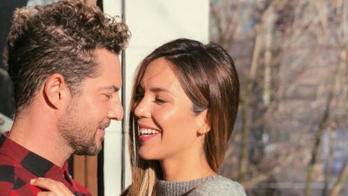 David Bisbal le pide matrimonio a su chica, Rosanna Zanetti.-/ PERIODICO (INSTAGRAM)
