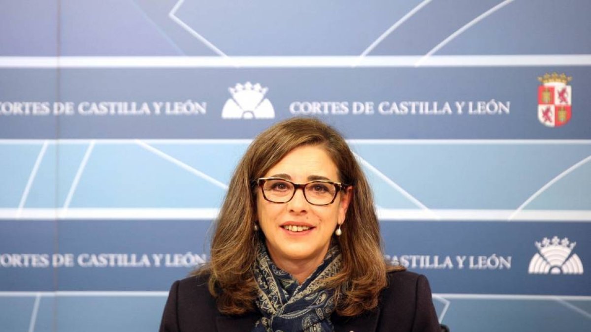La portavoz socialista de Fomento y Medio Ambiente del Grupo Socialista en las Cortes, Ana Muñoz-Ical