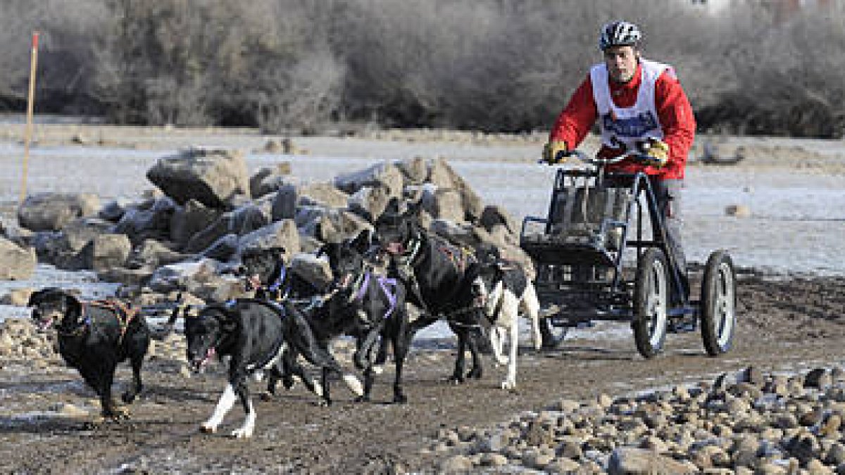 Un musher durante una prueba celebrada en la provincia. / VALENTÍN GUISANDE-