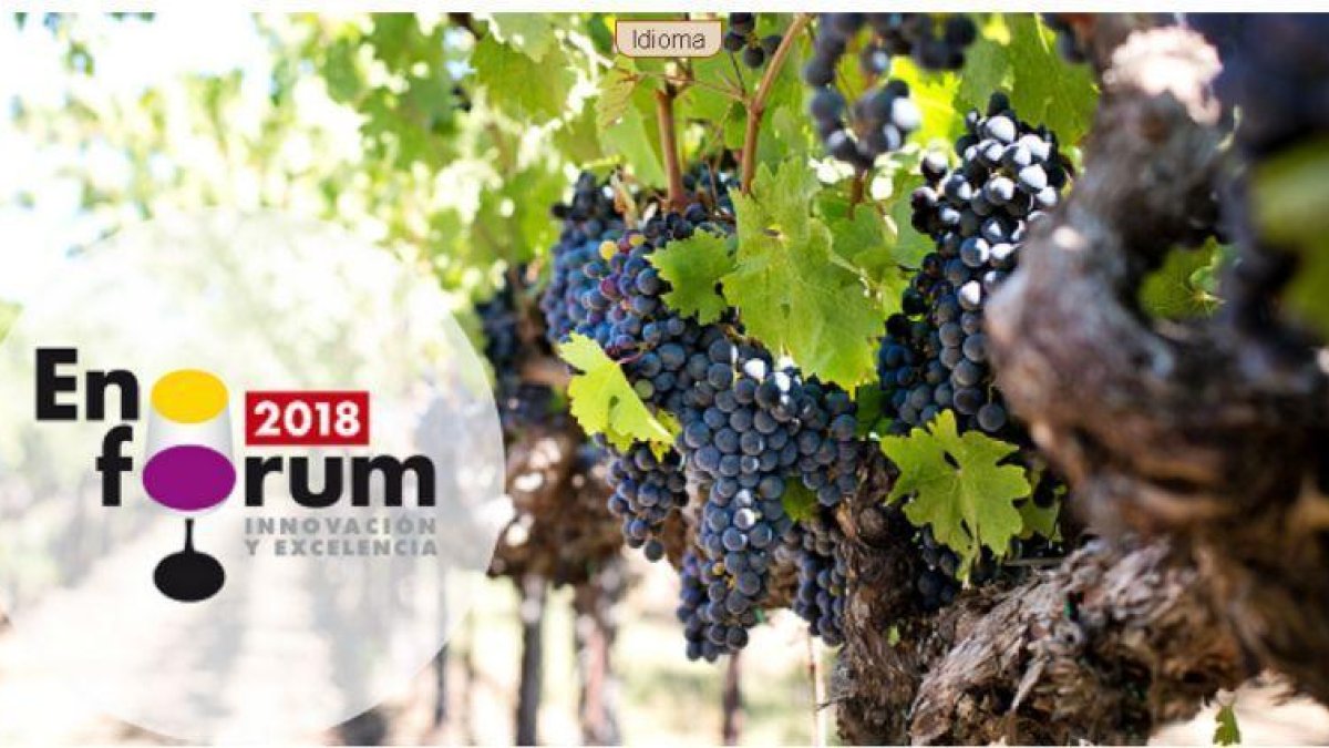 Cartel de Enoforum 2018-ENOFORUM