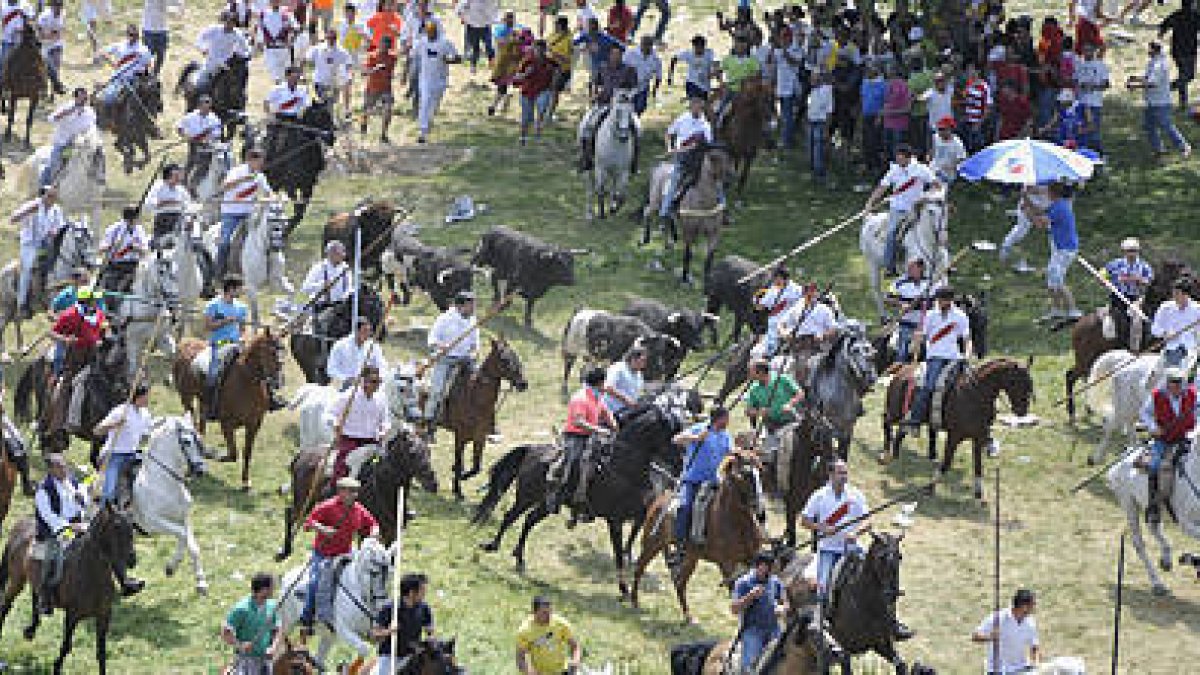 Los sanjuaneros disfrutaron ayer de una Saca complicada por la dispersión de los novillos. / VALENTÍN GUISANDE-
