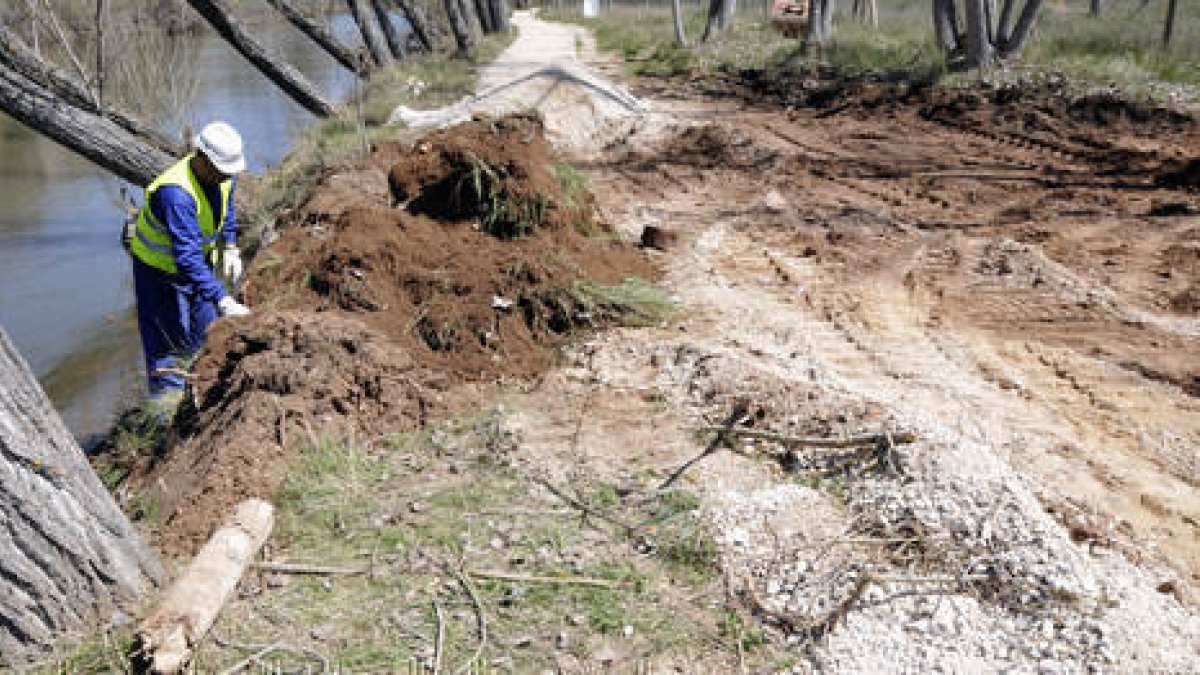Actuación de urgencia, el 18 de abril de 2013, en una zona de las márgenes del río Duero en Soria. / ÁLVARO MARTÍNEZ-