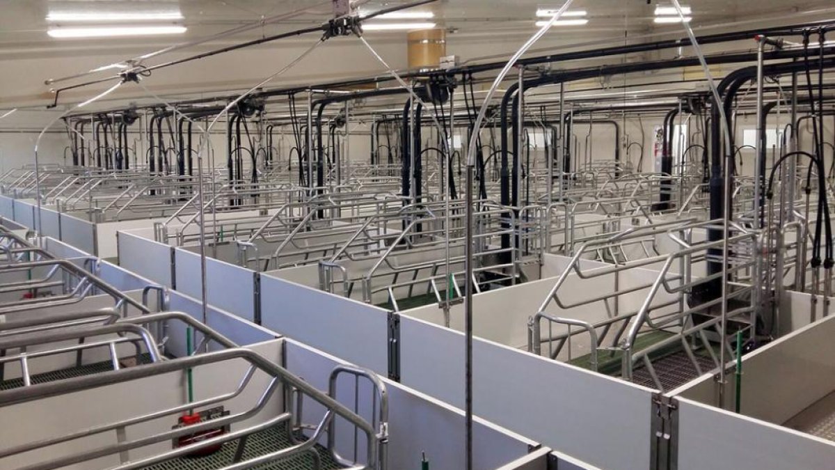 Instalaciones de la nueva granja de ICPOR en El Cubo de la Solana.-CEDIDA