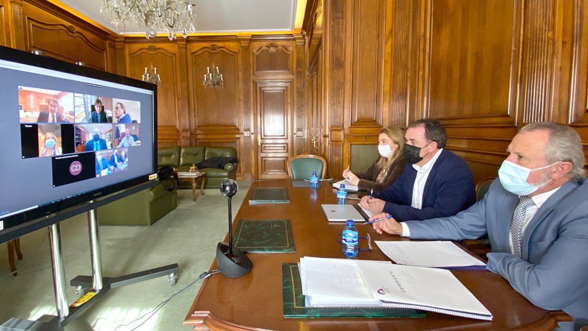 Reunión telemática sobre el Plan Soria.-HDS