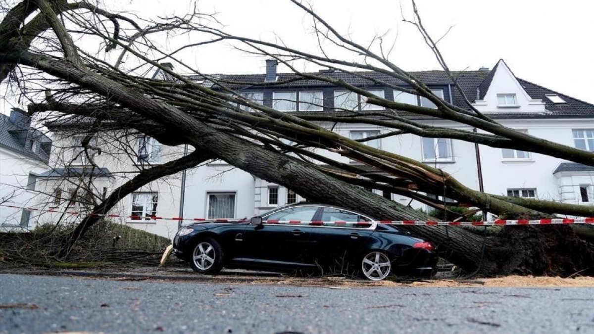 Un árbol caído sobre un coche en Dortmund (Alemania), el 18 de enero.-EFE / FRIEDEMANN VOGEL