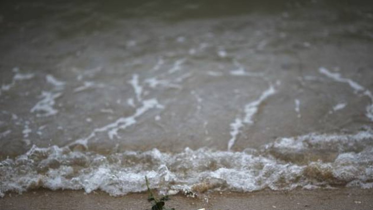 Una rosa es depositada en una playa tailandesa en homenaje a los niños muertos por el tsunami.-Foto: ATHIT PERAWONGMETHA / Reuters