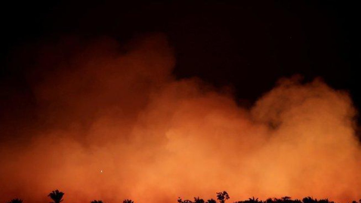 Incendio forestal en el Amazonas.-AGENCIAS
