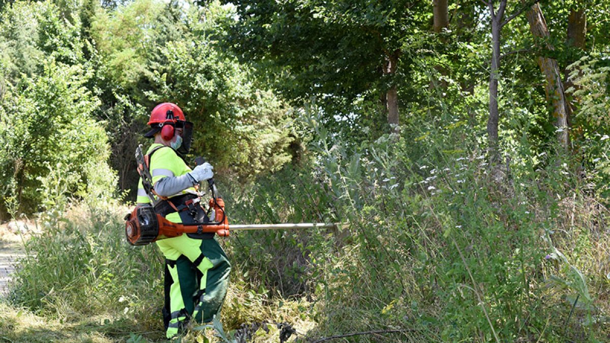 Brigadas  forestales.-HDS