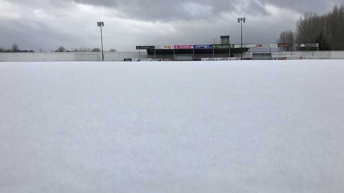 Estado del césped en Garray.-HDS