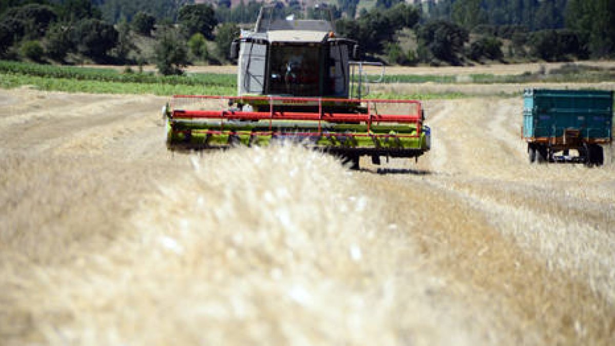 Una explotación agraria en la provincia de Soria. / ÁLVARO MARTÍNEZ-