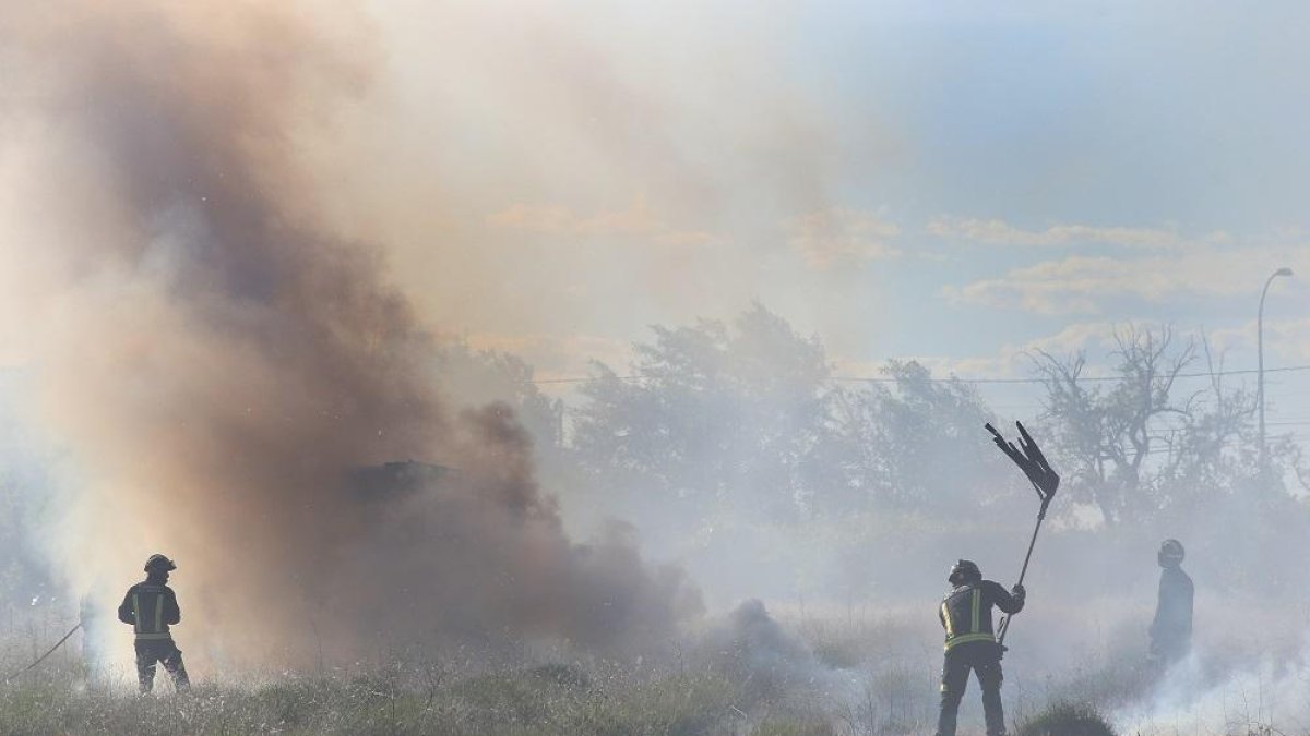 Un incendio provocado el jueves en Palencia por la quema intencionada de pelusas de chopo.-- ICAL