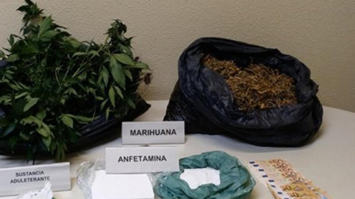 Detenidos dos jóvenes con un invernadero de droga, 1,1 kilos de anfetaminas y 2,8 de marihuana-Guardia Civil