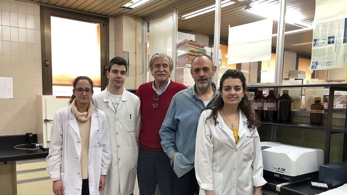 Olga Pereira, Luis Getino, José María Luengo, Elías Rodríguez y Carmen Humanes. EL MUNDO
